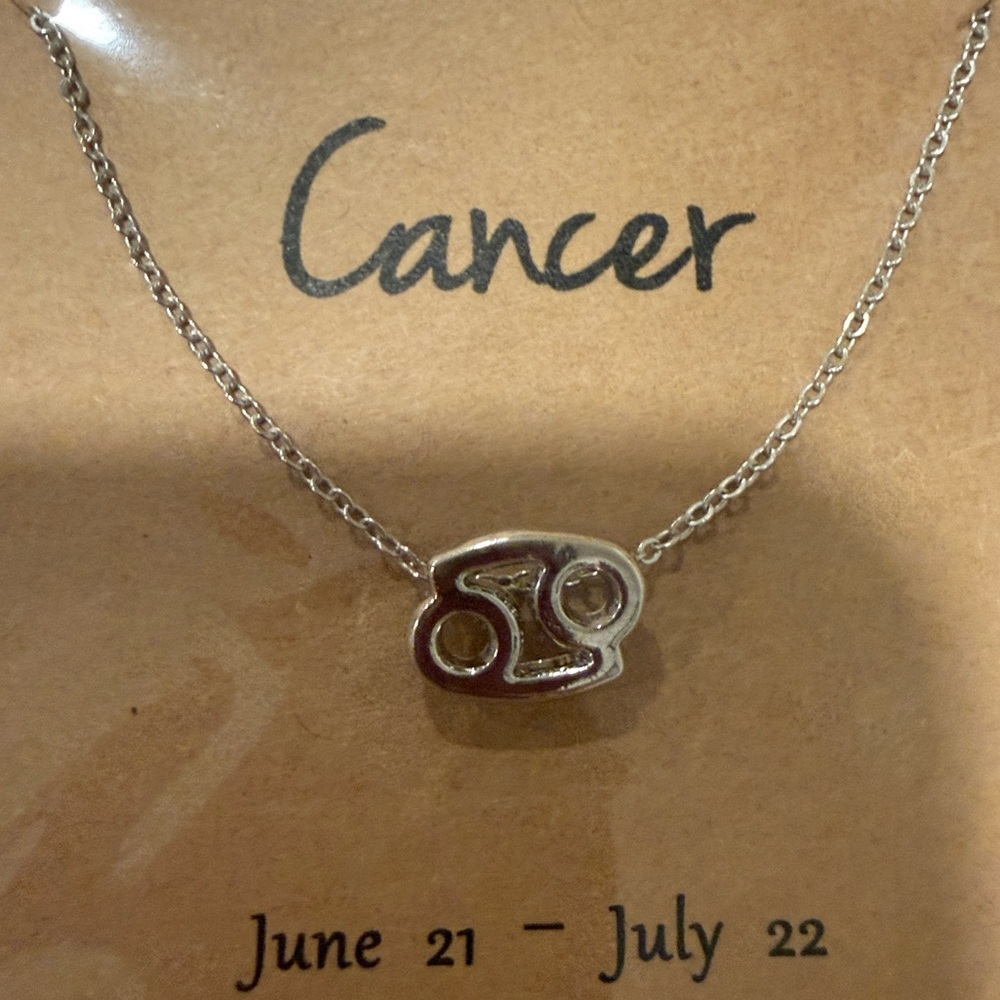 Silver Cancer Zodiac Necklace